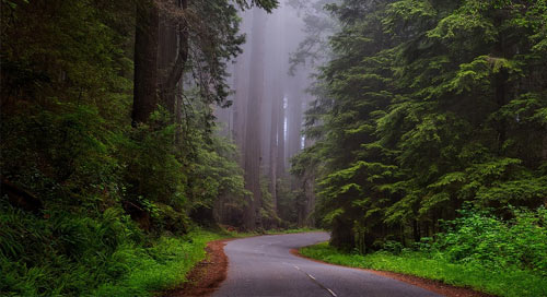 Na-Pali-Coast-State-Wilderness-Park