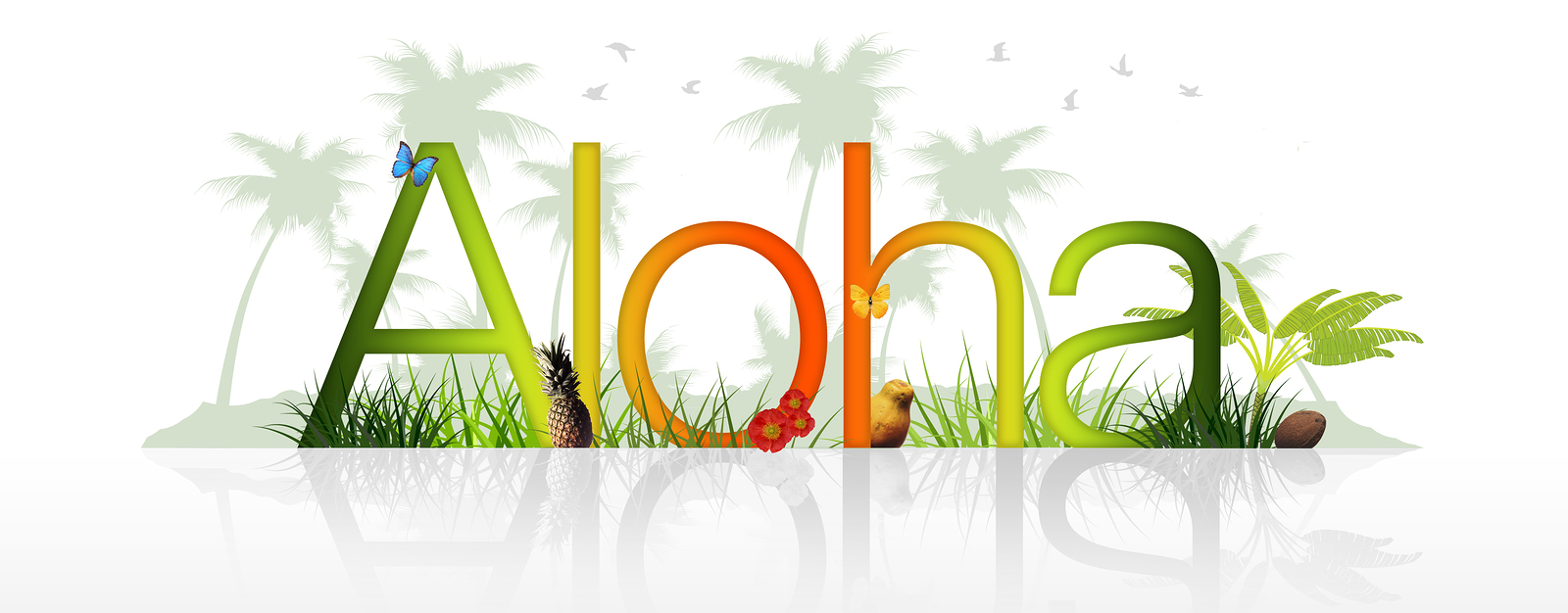 aloha-image